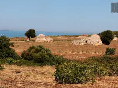 ...ed ecco, dopo alcune curve, aprirsi sulla sinistra una distesa di terra rossa sulla quale spuntano qua e l� piccoli alberi, arbusti e soprattutto solitari trulli in pietra. Sullo sfondo, il blu del mare